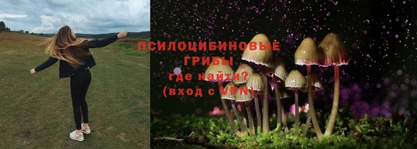 2c-b Абинск